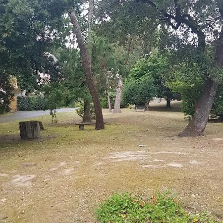 Ker Marie Jo Appartement